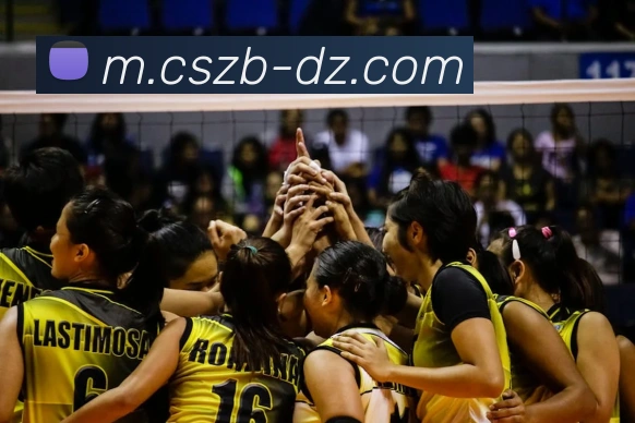 辅助工具 辅助工具